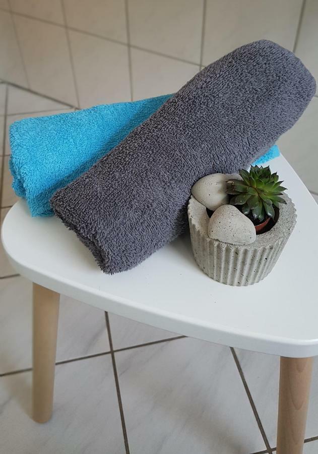 Naehe Mainz - Ferienwohnung - Apartment Breivogel In Wörrstadt エクステリア 写真